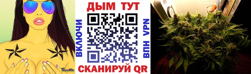 Бошки Шишки VHQ Лобня